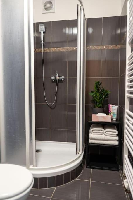 Byt Krenova 1+Kk Brno Ngoại thất bức ảnh